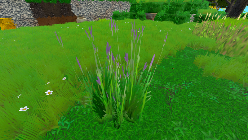 File:BigBluestem Plant.png