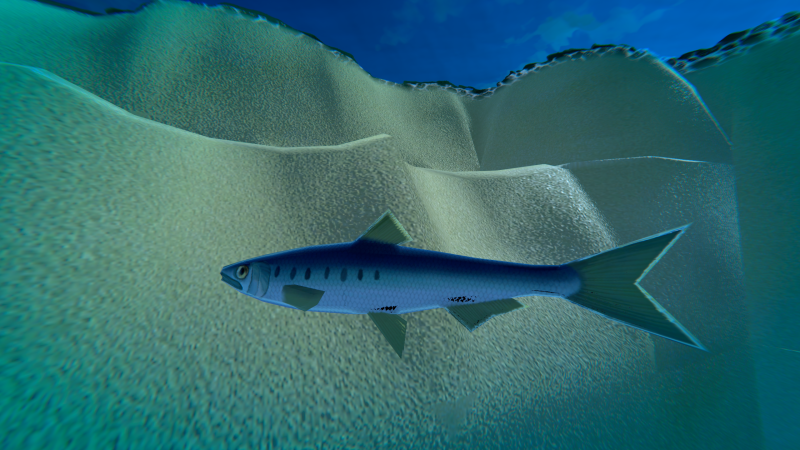 File:PacificSardine Animal.png