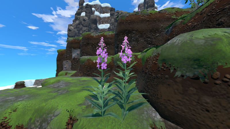 File:Fireweed Plant.png