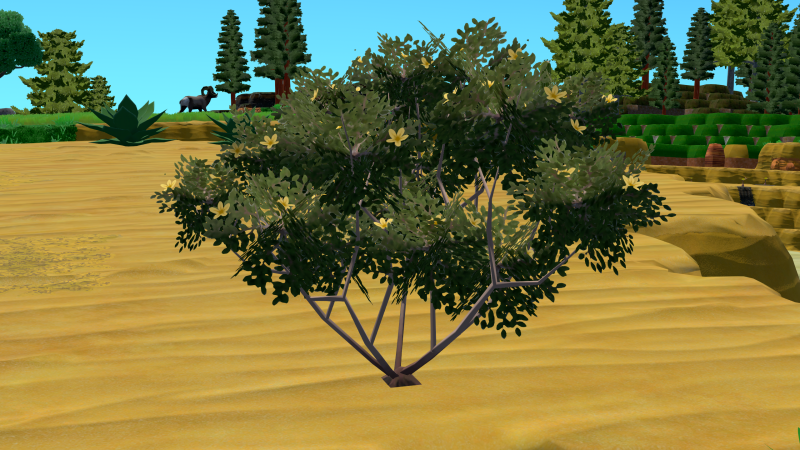 File:CreosoteBush Plant.png