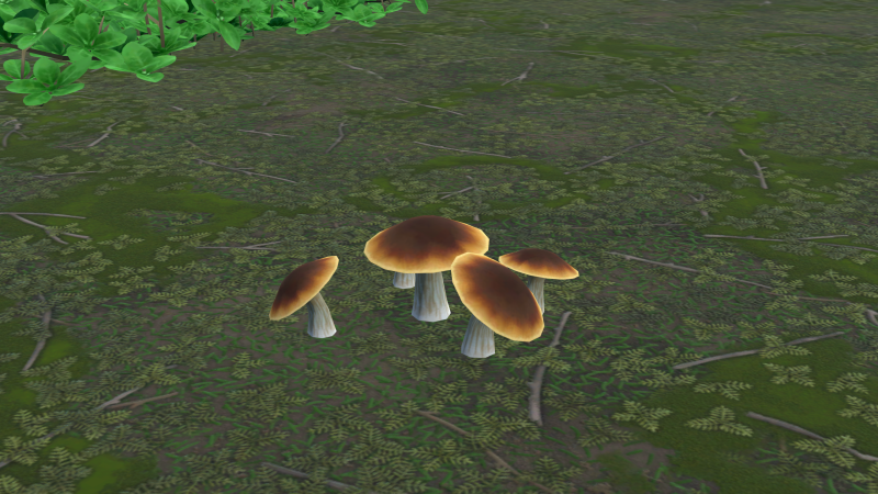 File:BoleteMushroom Plant.png