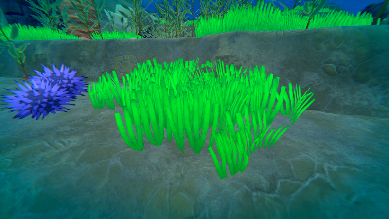 File:Seagrass Plant.png