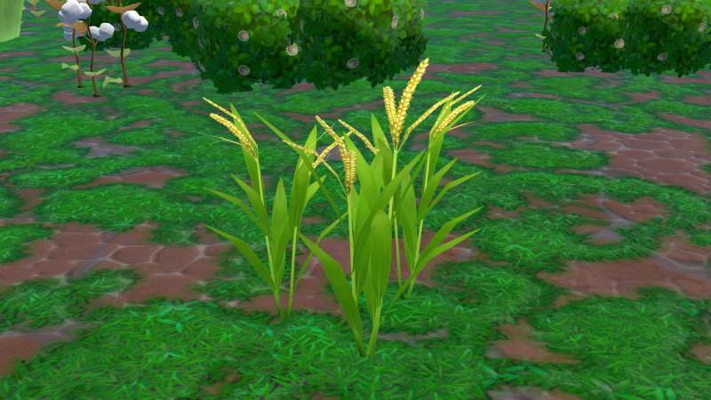 Datei:Rice Plant.png